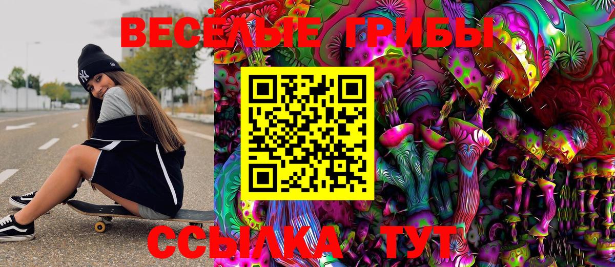 Печора  Галлюциногенные грибы Psilocybine cubensis  Вход с VPN 